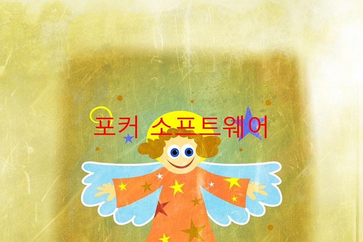 포커 소프트웨어