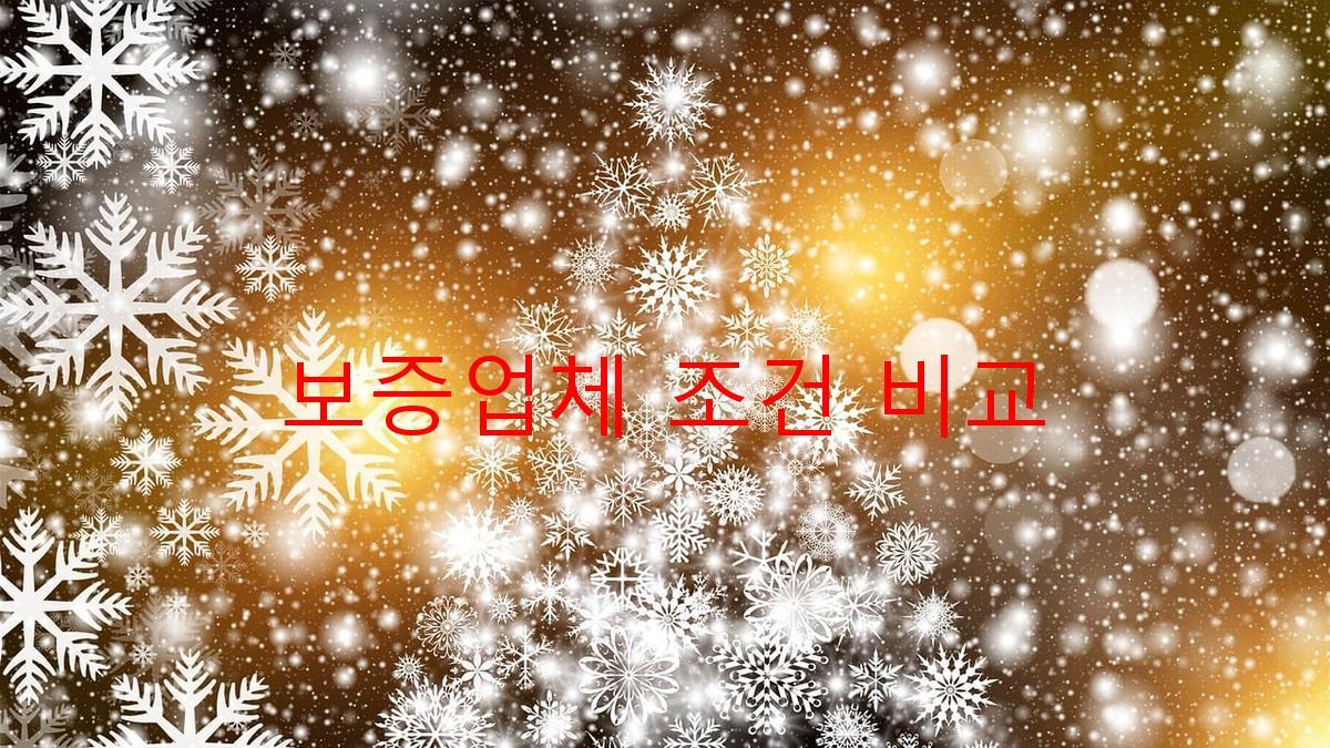 보증업체 조건 비교