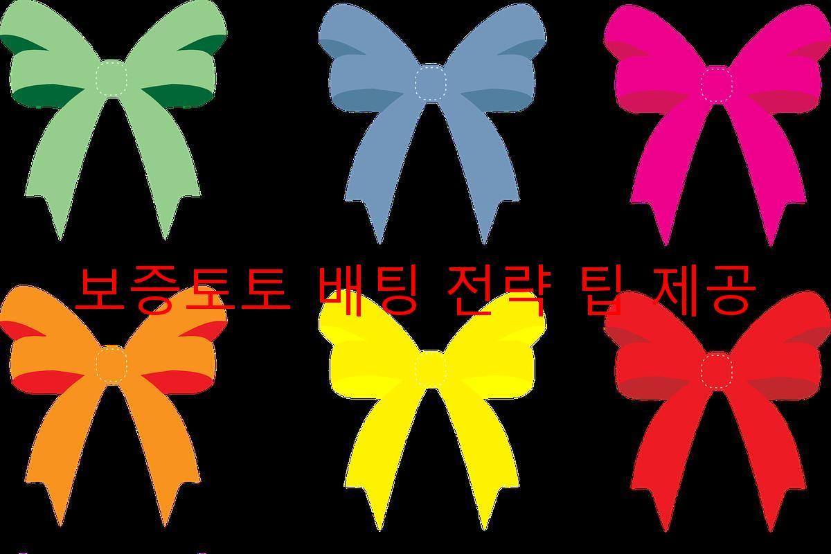 보증토토 배팅 전략 팁 제공