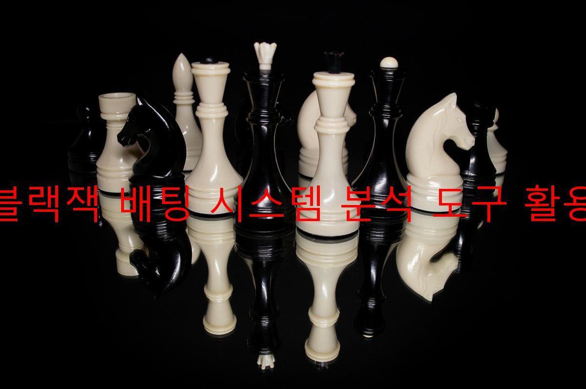 블랙잭 배팅 시스템 분석 도구 활용