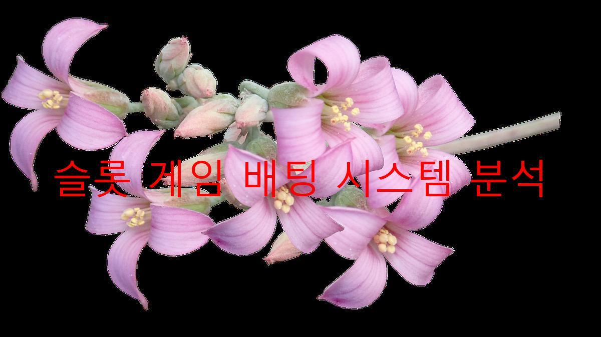슬롯 게임 배팅 시스템 분석