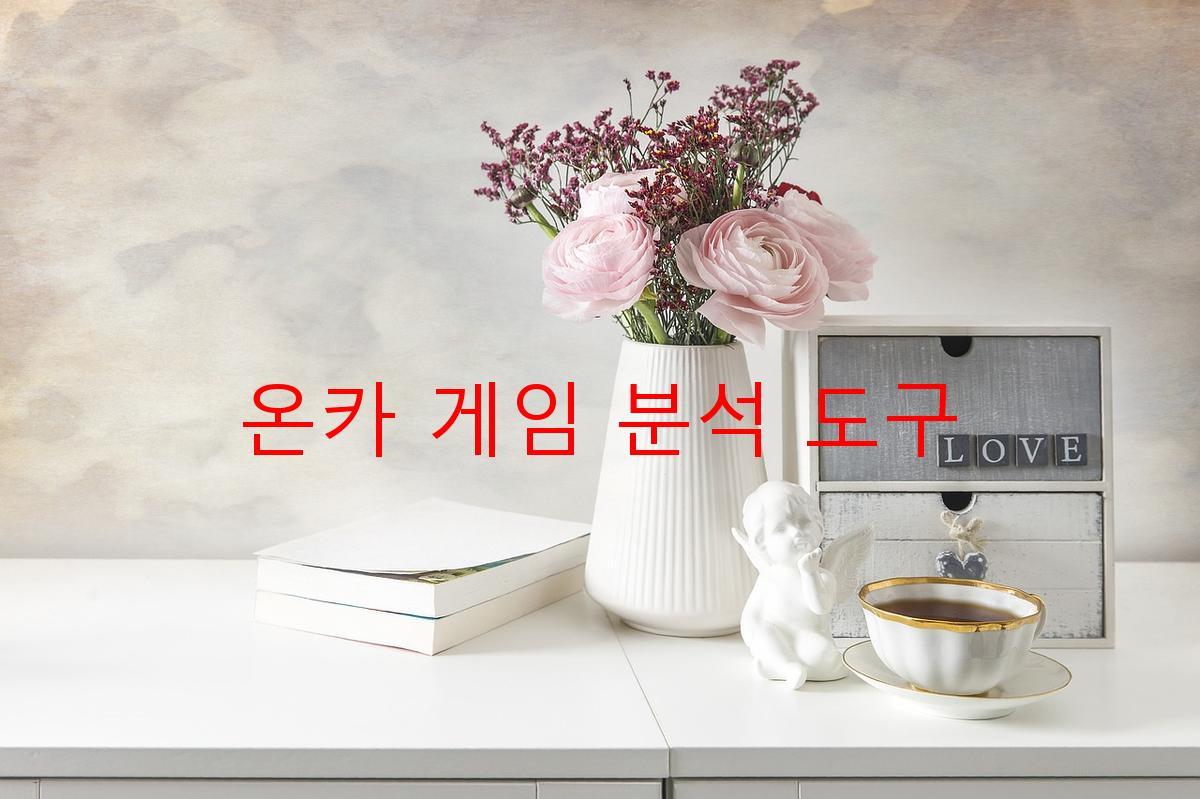 온카 게임 분석 도구