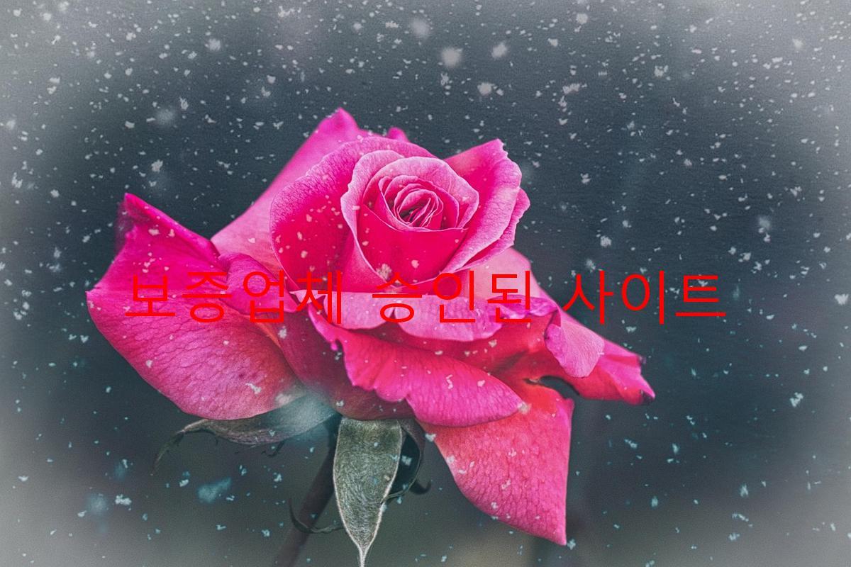 보증업체 승인된 사이트