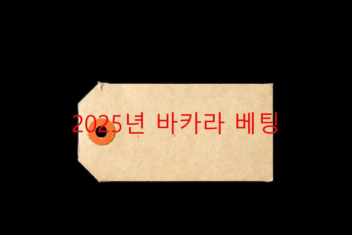 2025년 바카라 베팅
