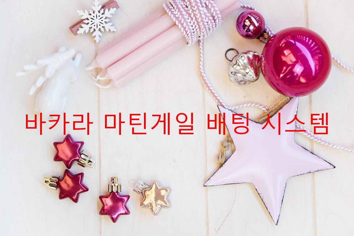 바카라 마틴게일 배팅 시스템