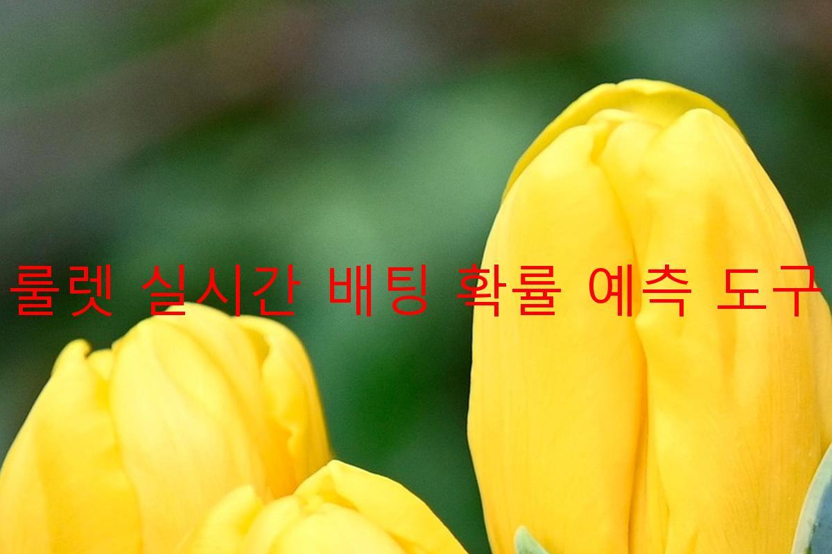 룰렛 실시간 배팅 확률 예측 도구