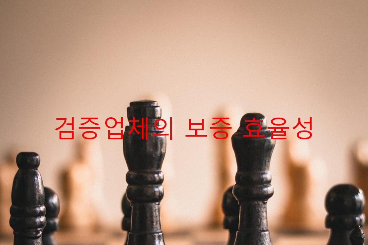 검증업체의 보증 효율성