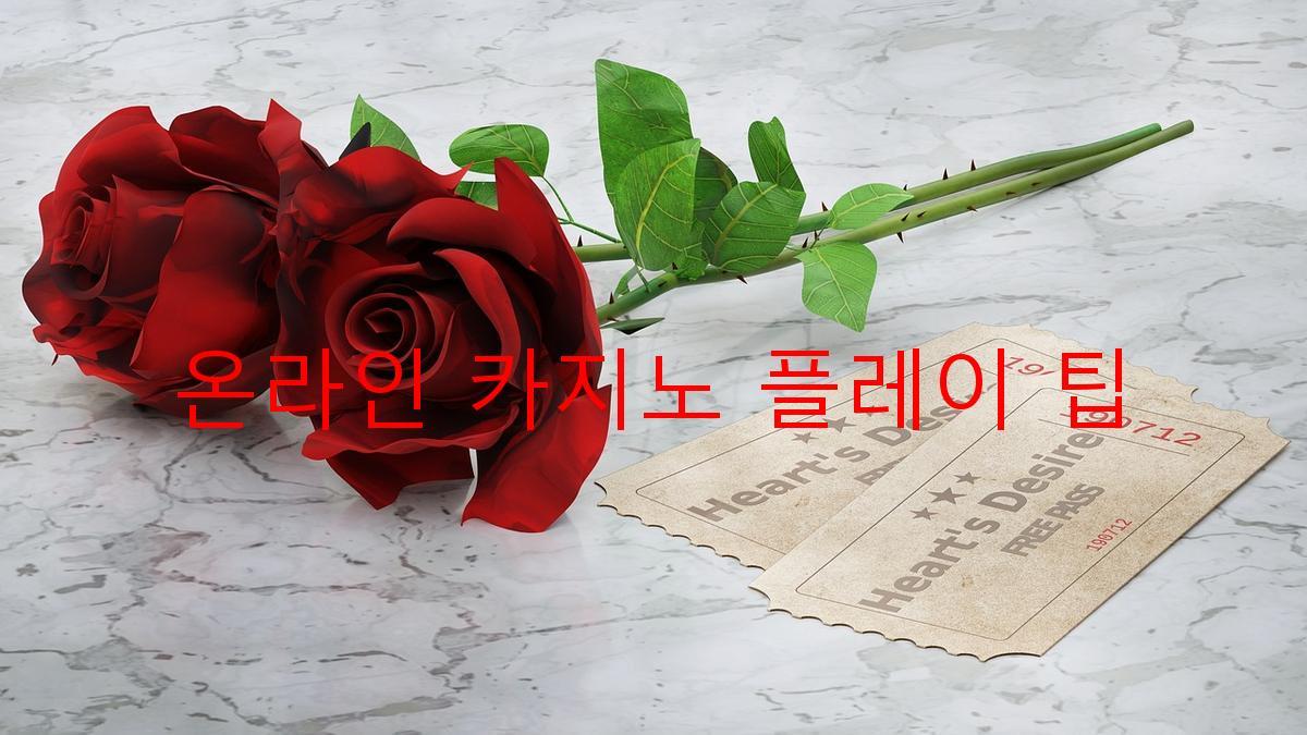 온라인 카지노 플레이 팁