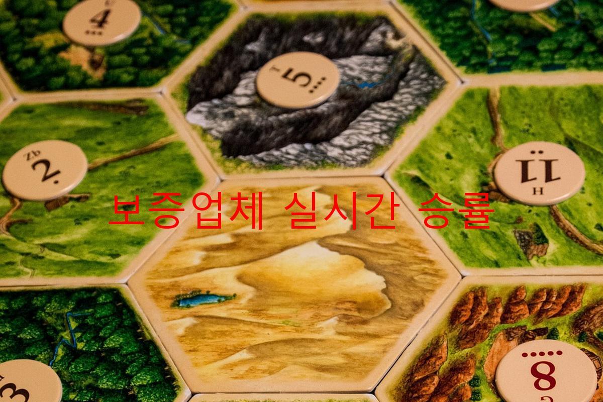 보증업체 실시간 승률