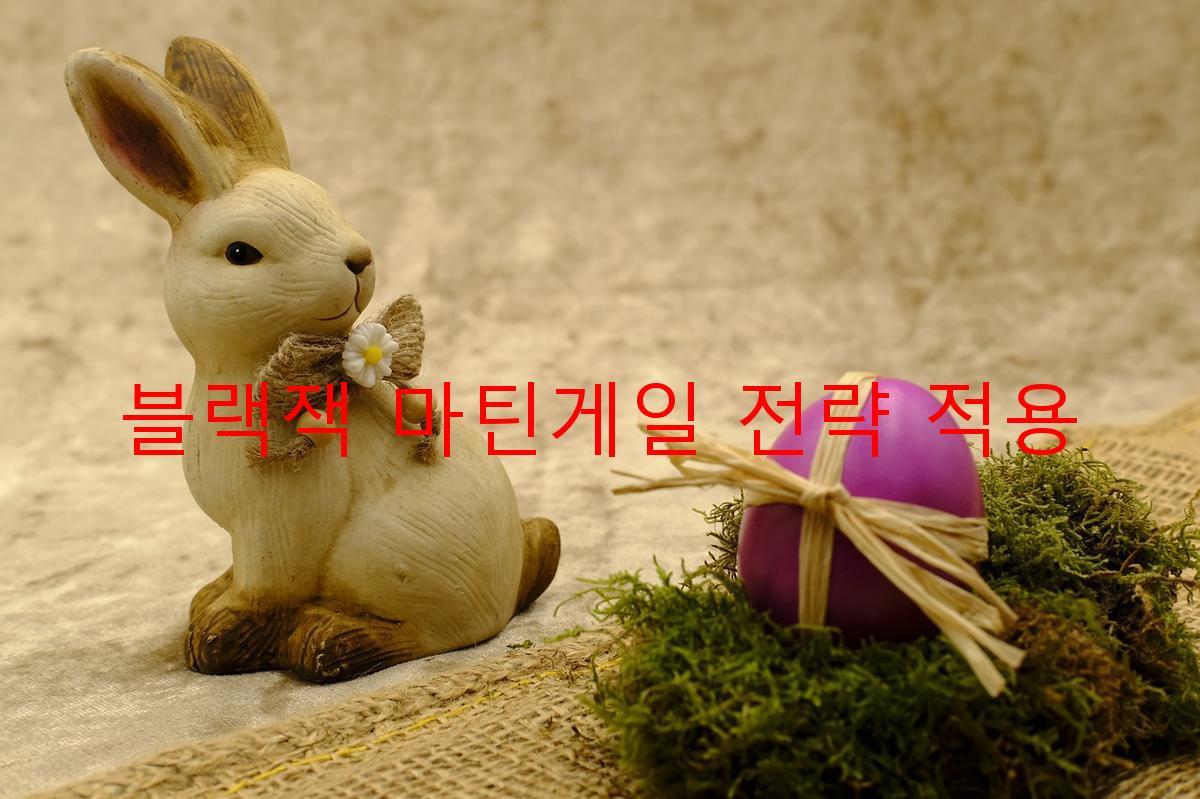 블랙잭 마틴게일 전략 적용