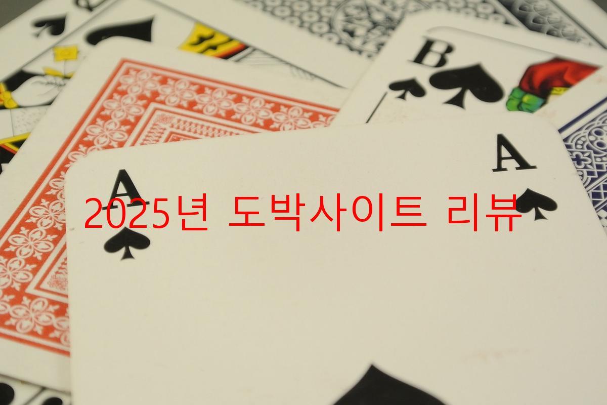 2025년 도박사이트 리뷰