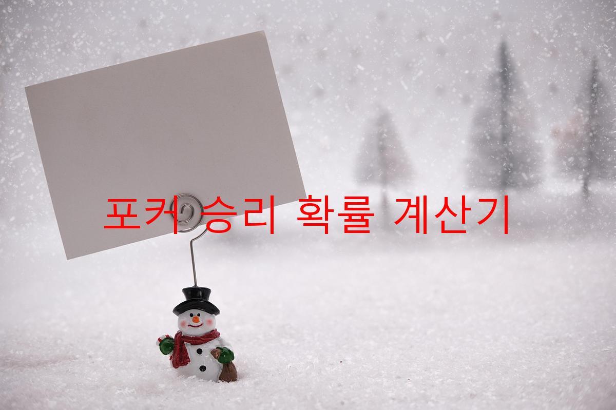포커 승리 확률 계산기