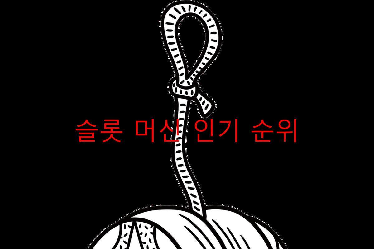 슬롯 머신 인기 순위