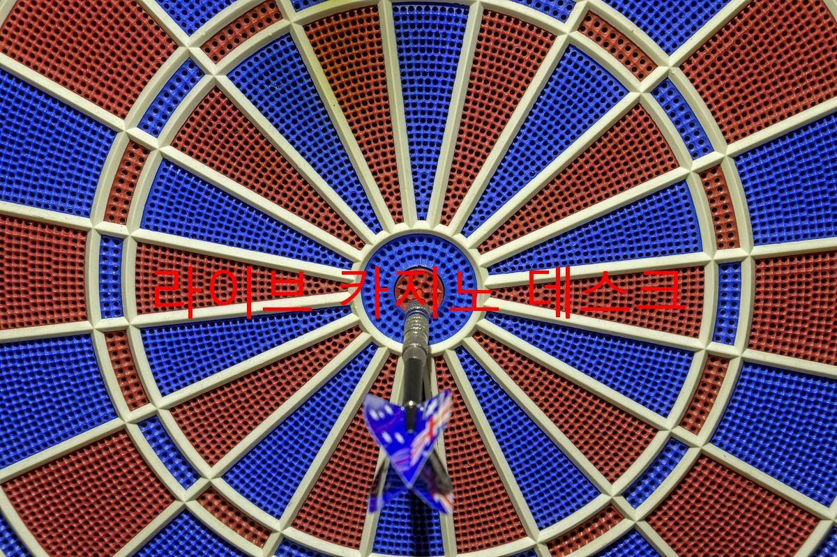 라이브 카지노 데스크