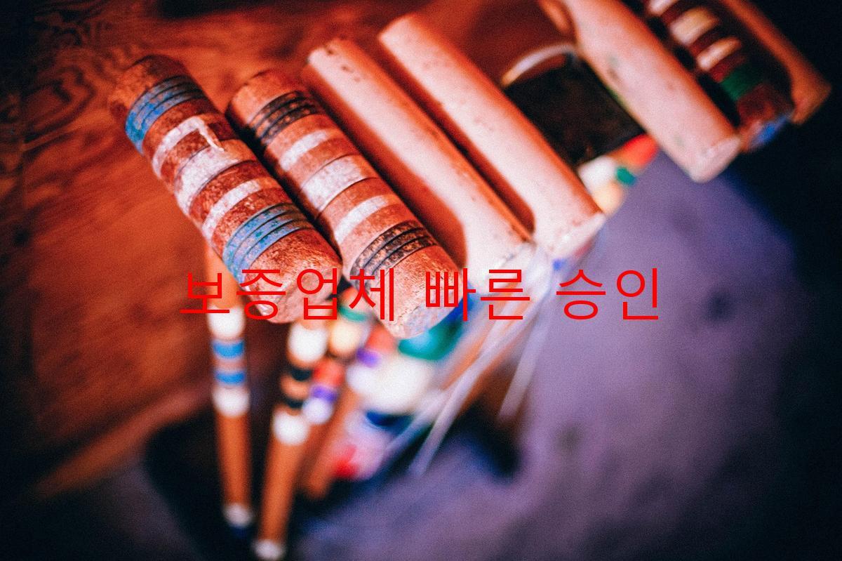 보증업체 빠른 승인