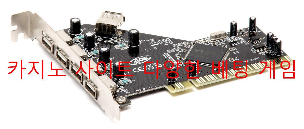 보증 카지노 사이트 다양한 베팅 게임 제공