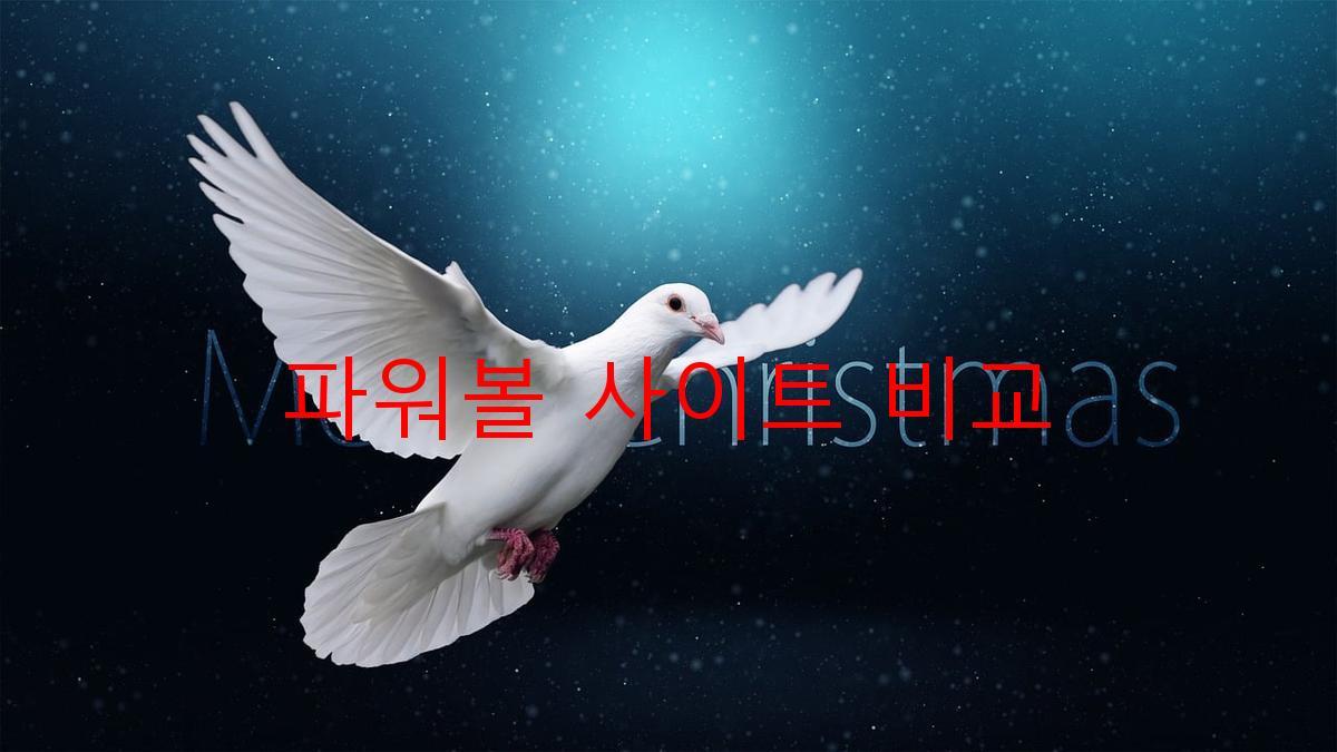 파워볼 사이트 비교