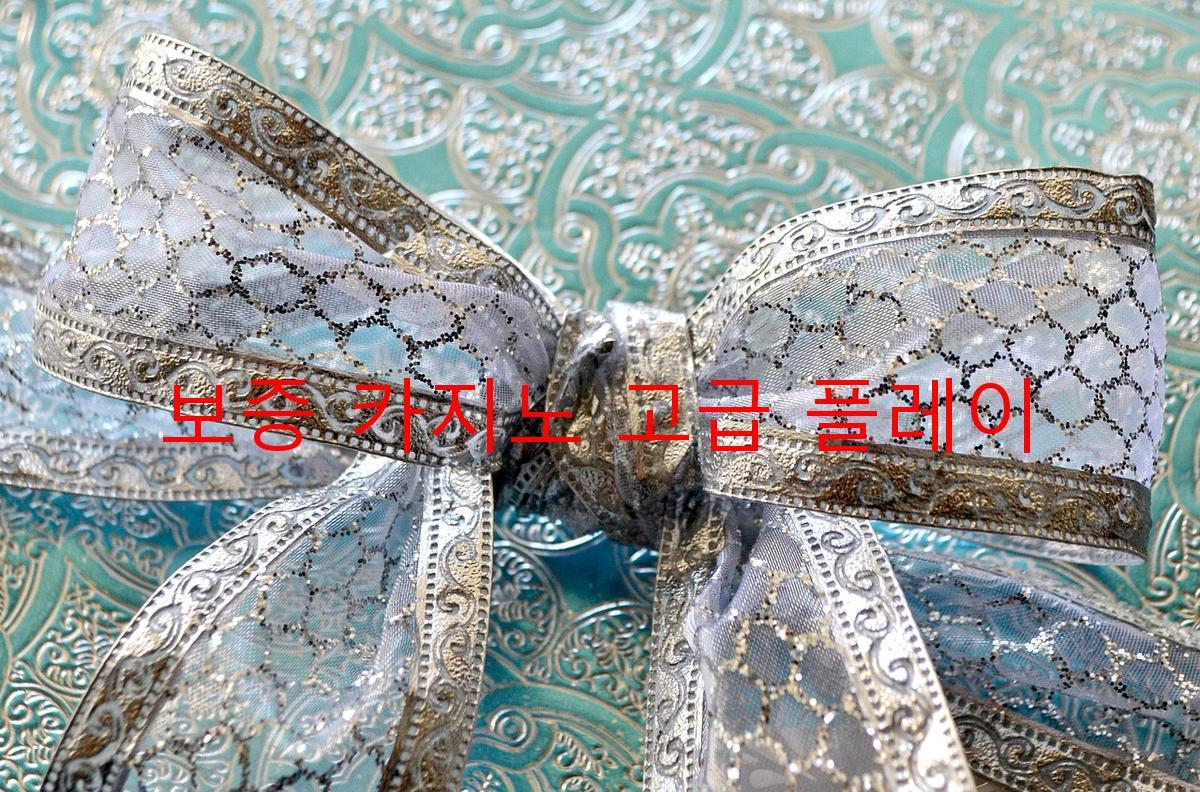 보증 카지노 고급 플레이