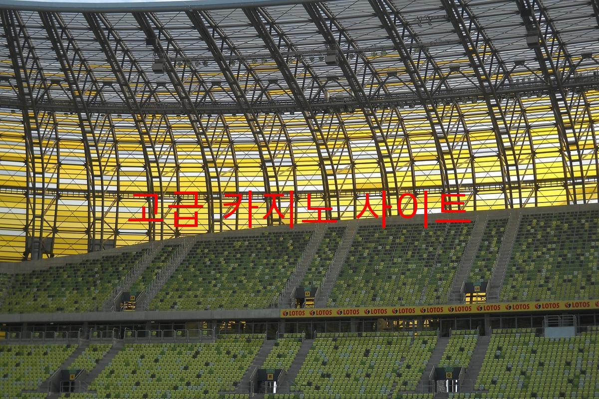 고급 카지노 사이트