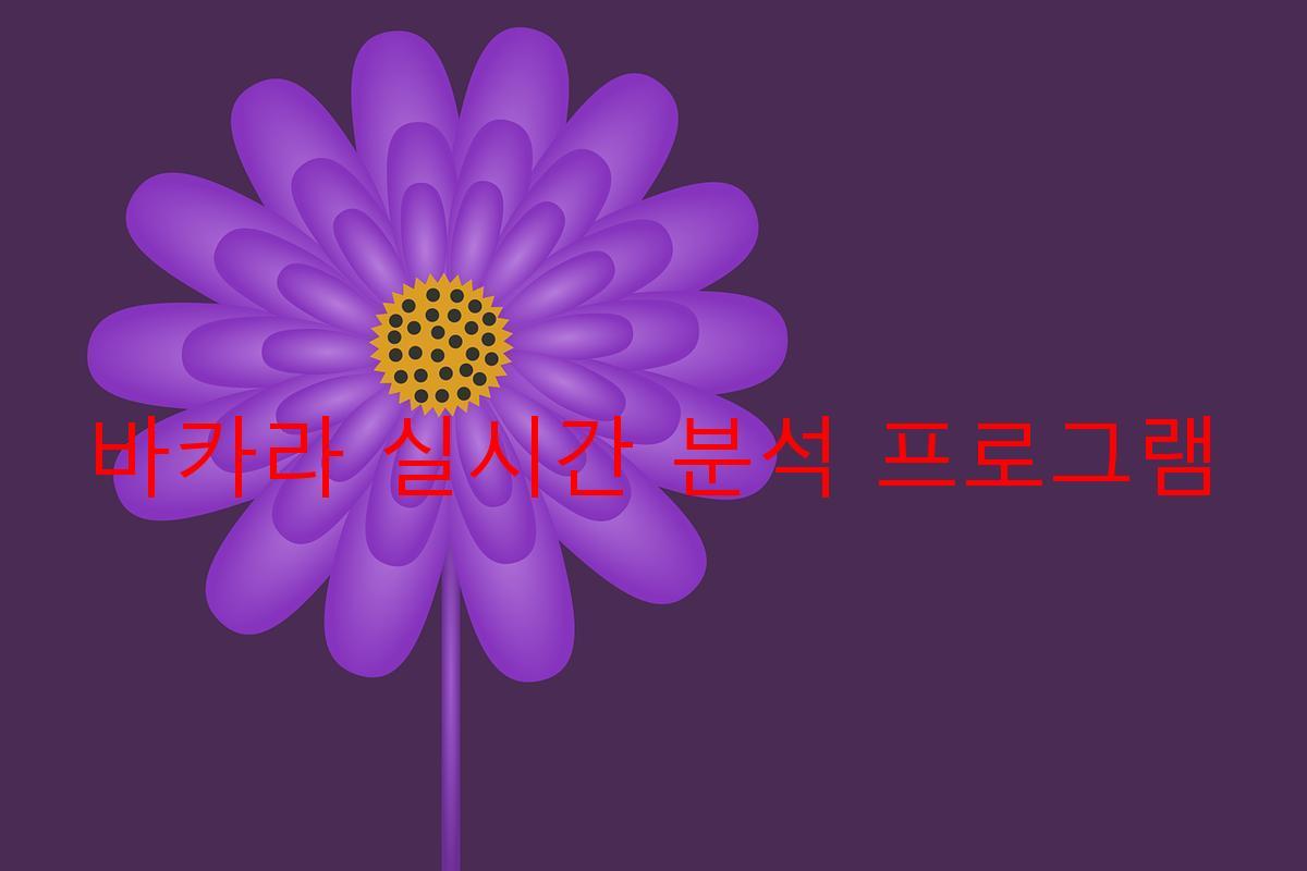 바카라 실시간 분석 프로그램