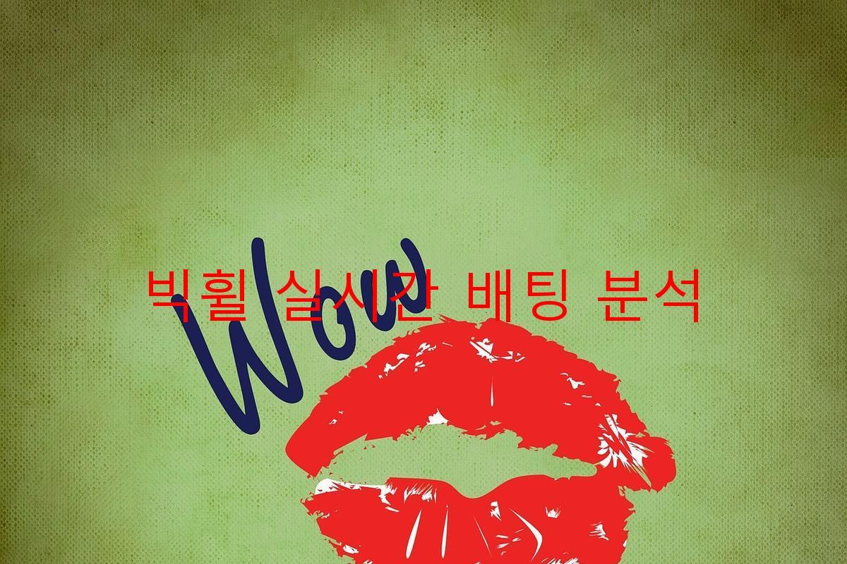 빅휠 실시간 배팅 분석