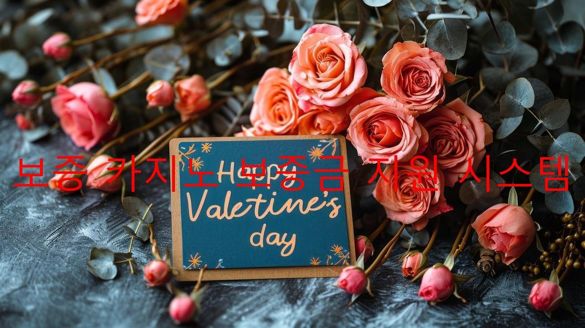 보증 카지노 보증금 지원 시스템