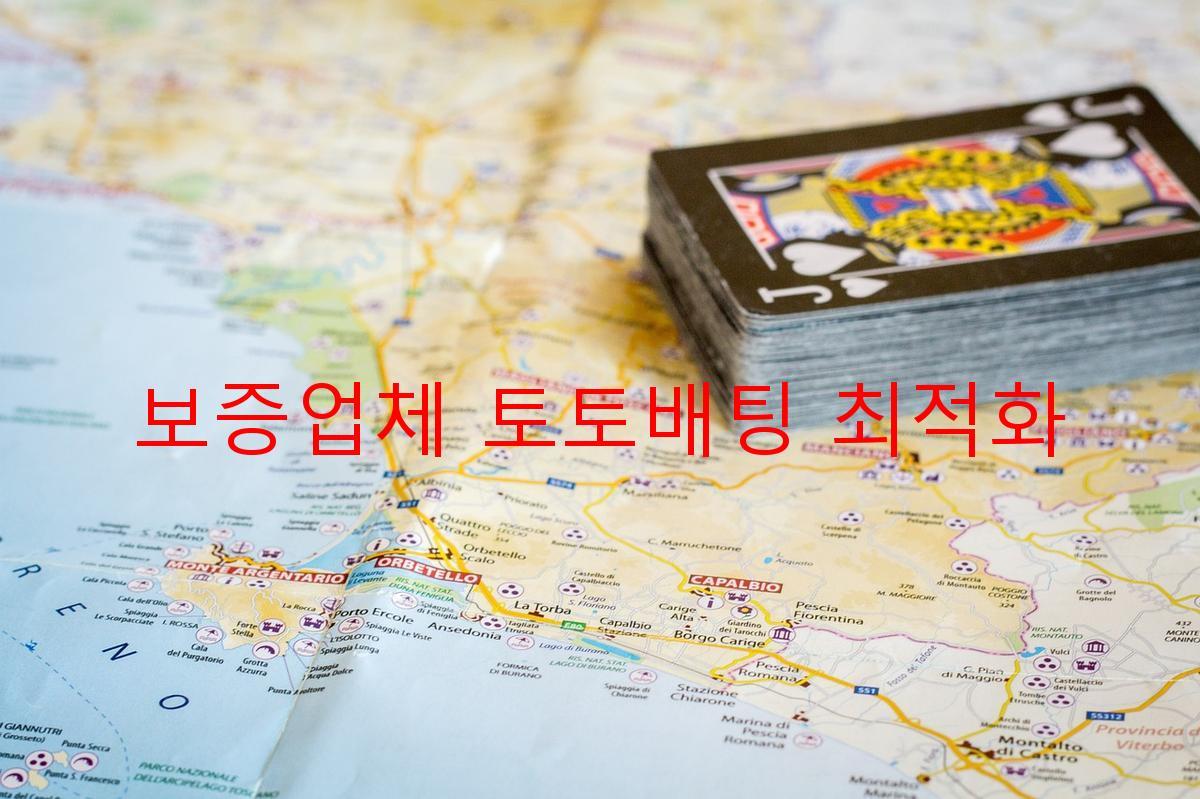 보증업체 토토배팅 최적화