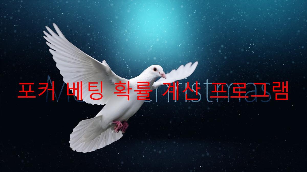 포커 베팅 확률 계산 프로그램
