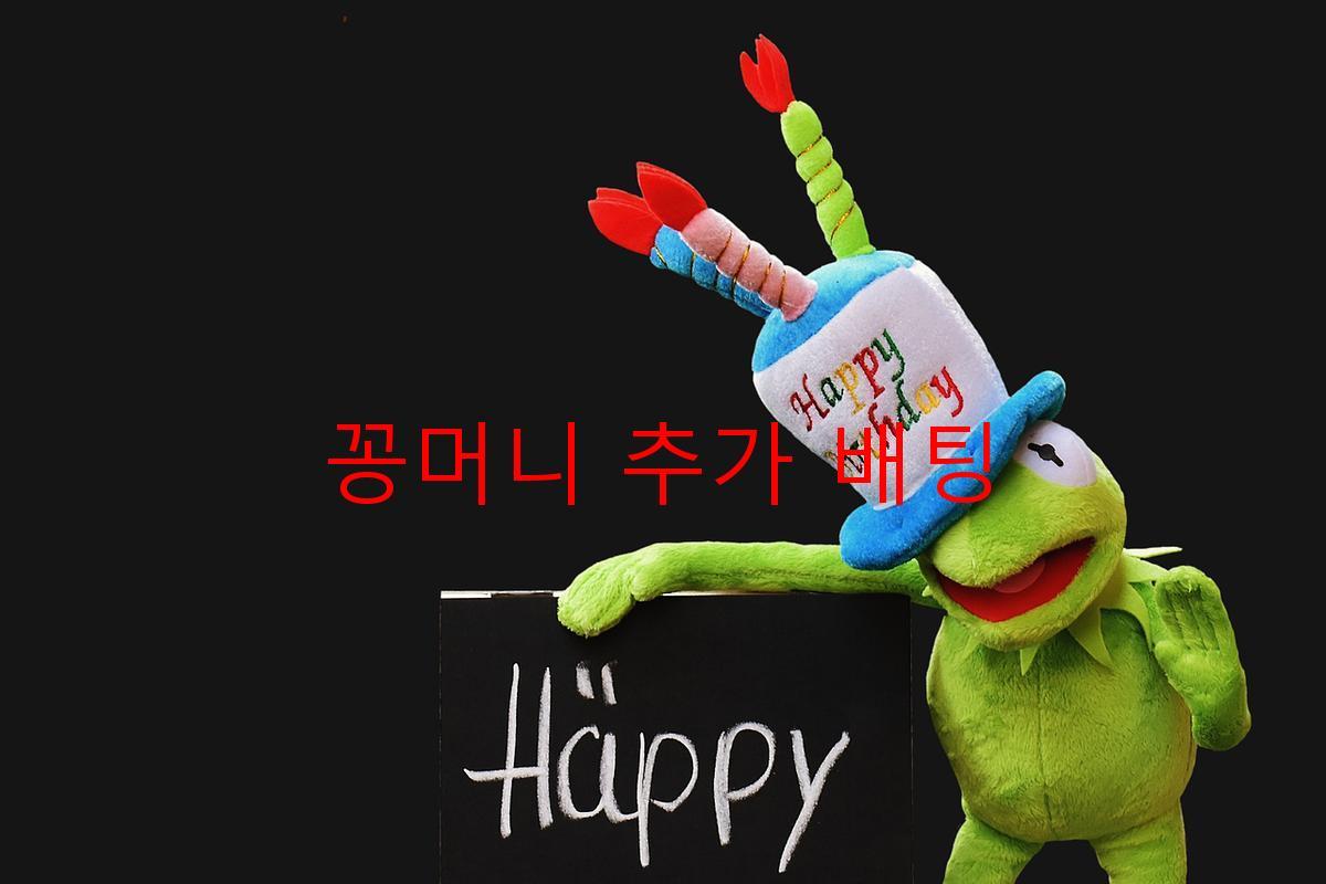 꽁머니 추가 배팅