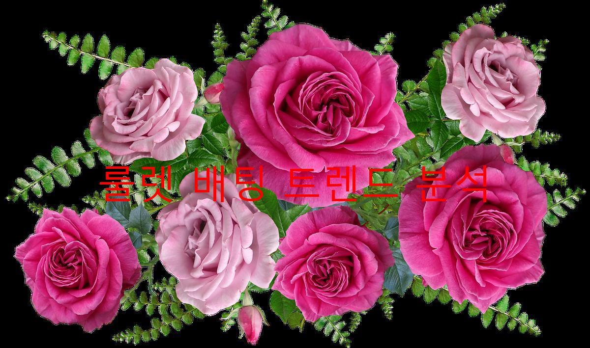 룰렛 배팅 트렌드 분석