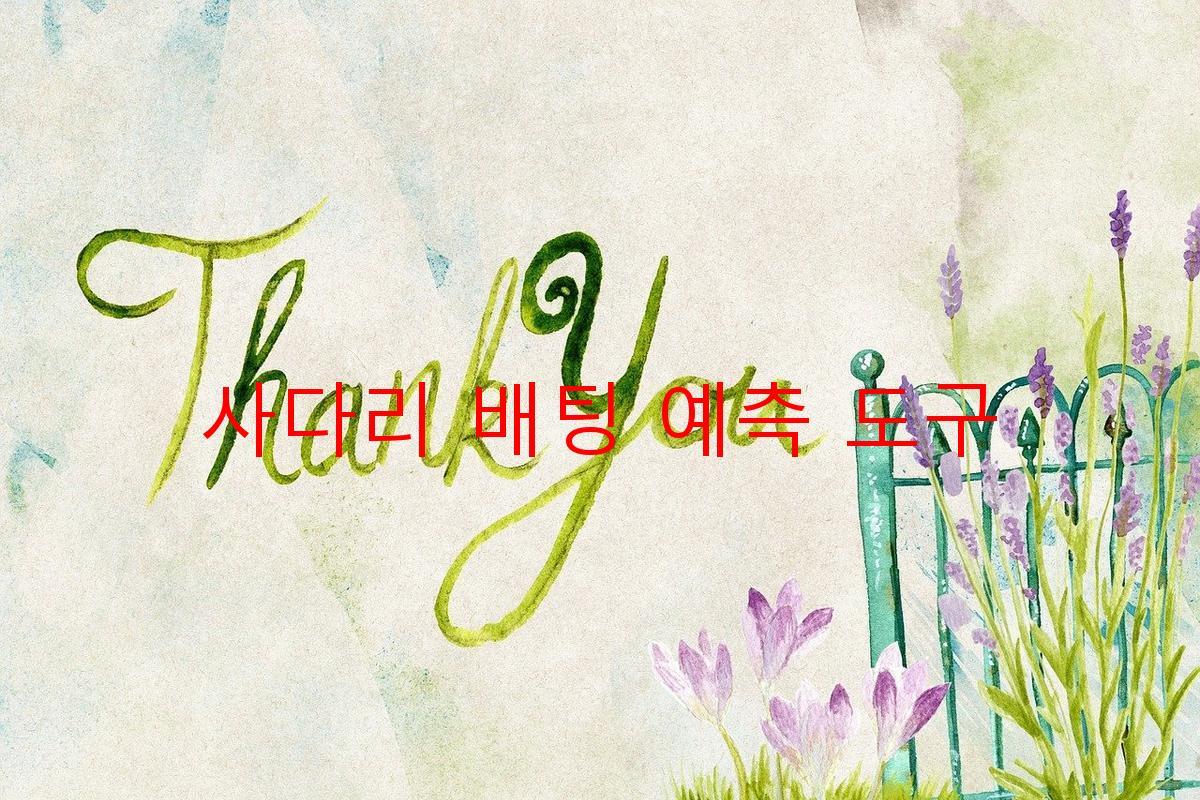 사다리 배팅 예측 도구