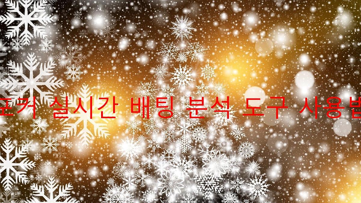 포커 실시간 배팅 분석 도구 사용법