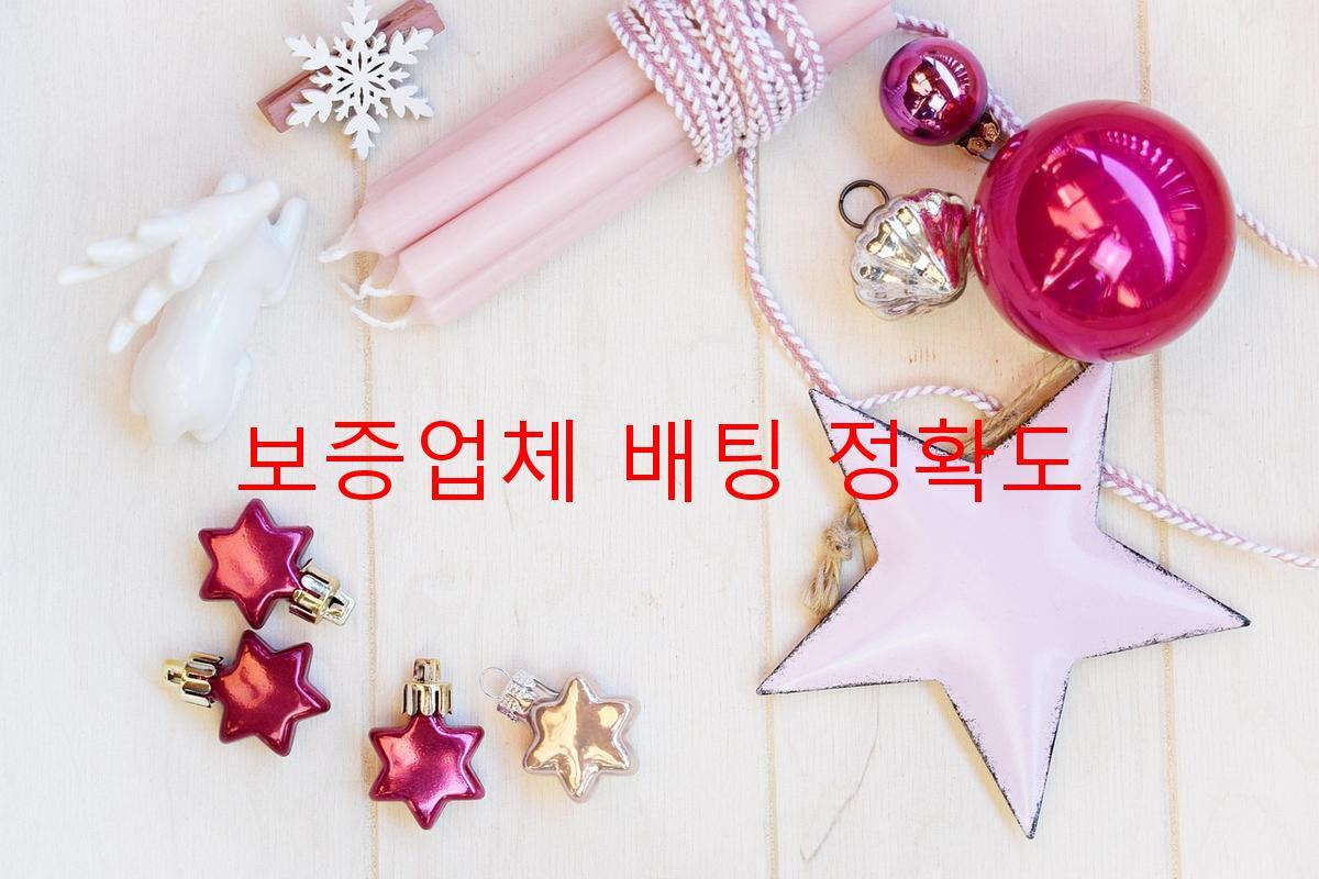 보증업체 배팅 정확도