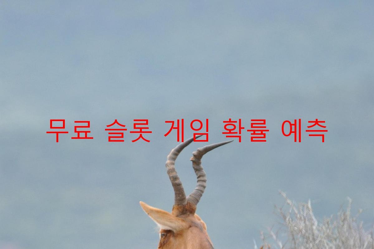 무료 슬롯 게임 확률 예측