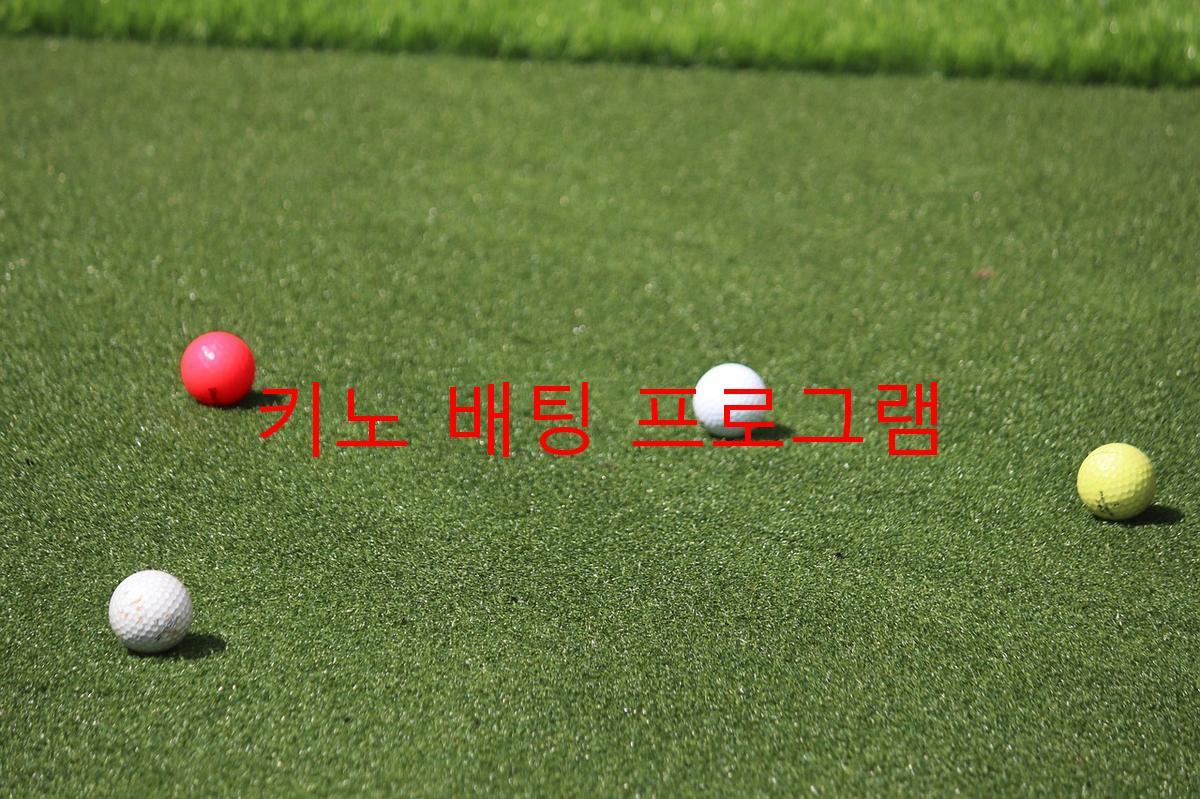 키노 배팅 프로그램