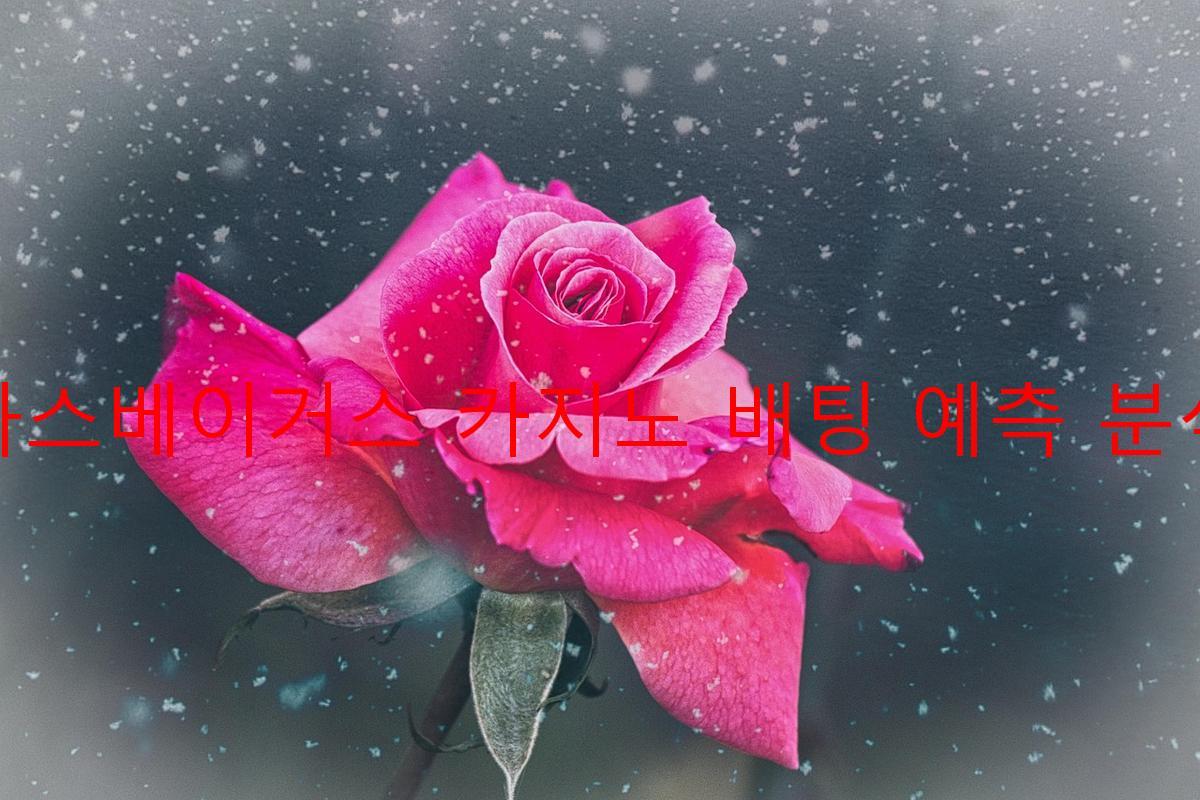 라스베이거스 카지노 배팅 예측 분석