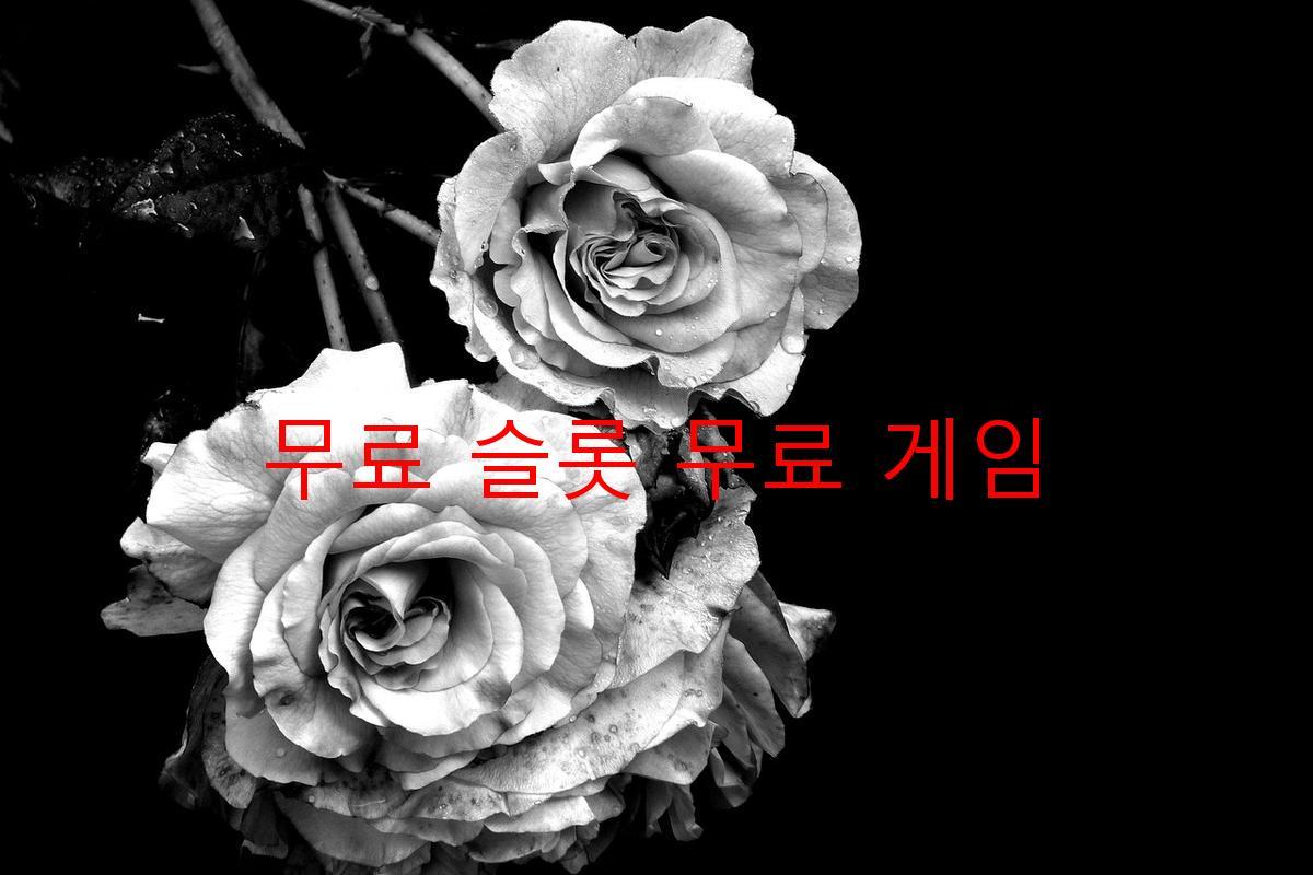 무료 슬롯 무료 게임