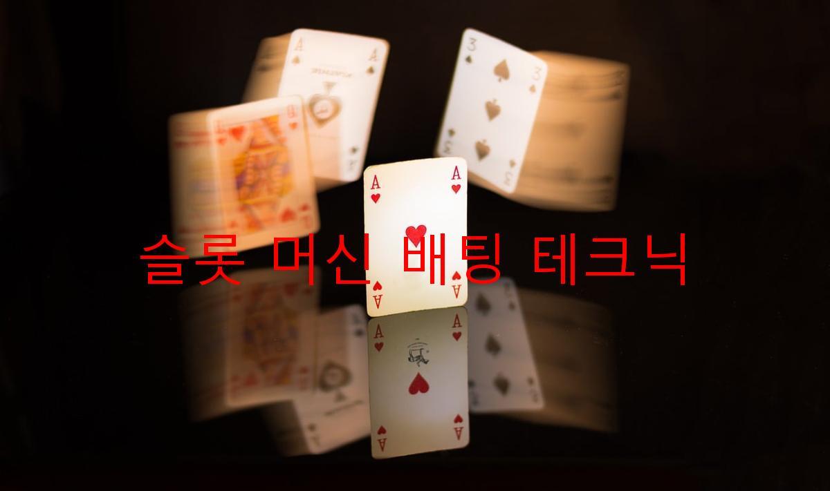 슬롯 머신 배팅 테크닉