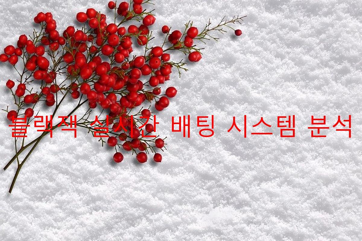 블랙잭 실시간 배팅 시스템 분석