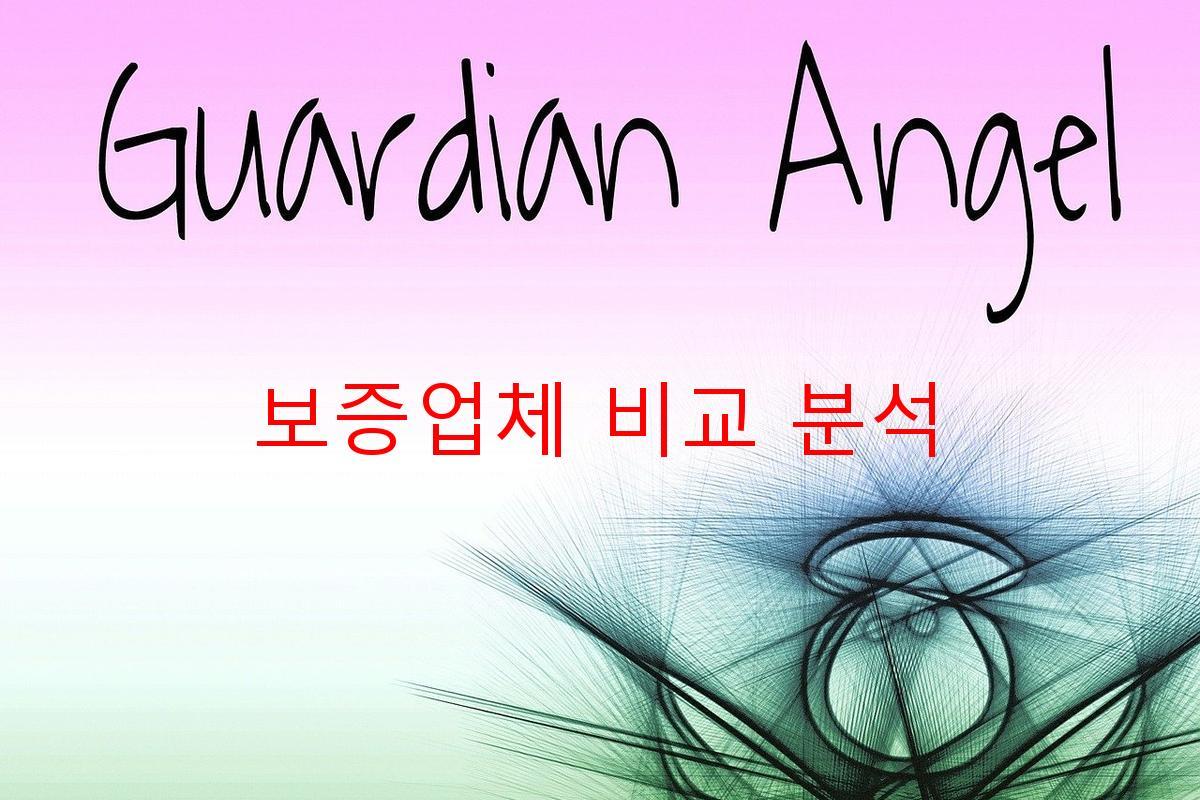 보증업체 비교 분석