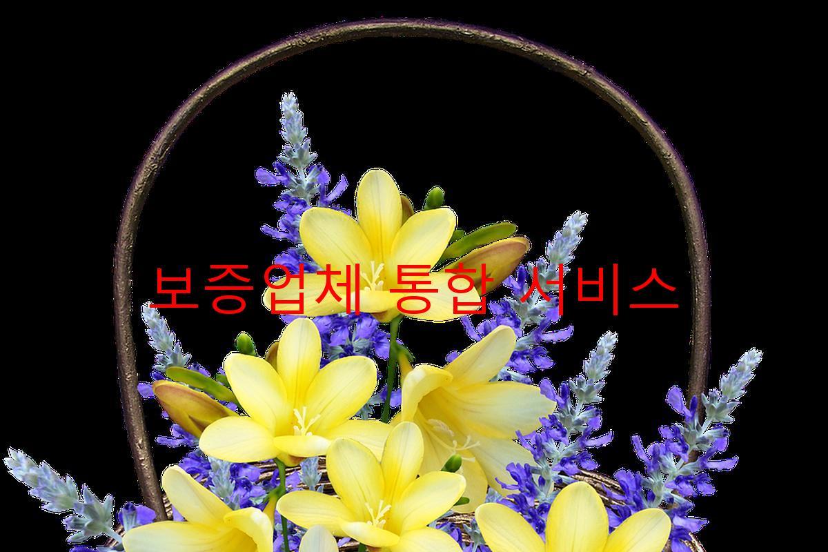 보증업체 통합 서비스