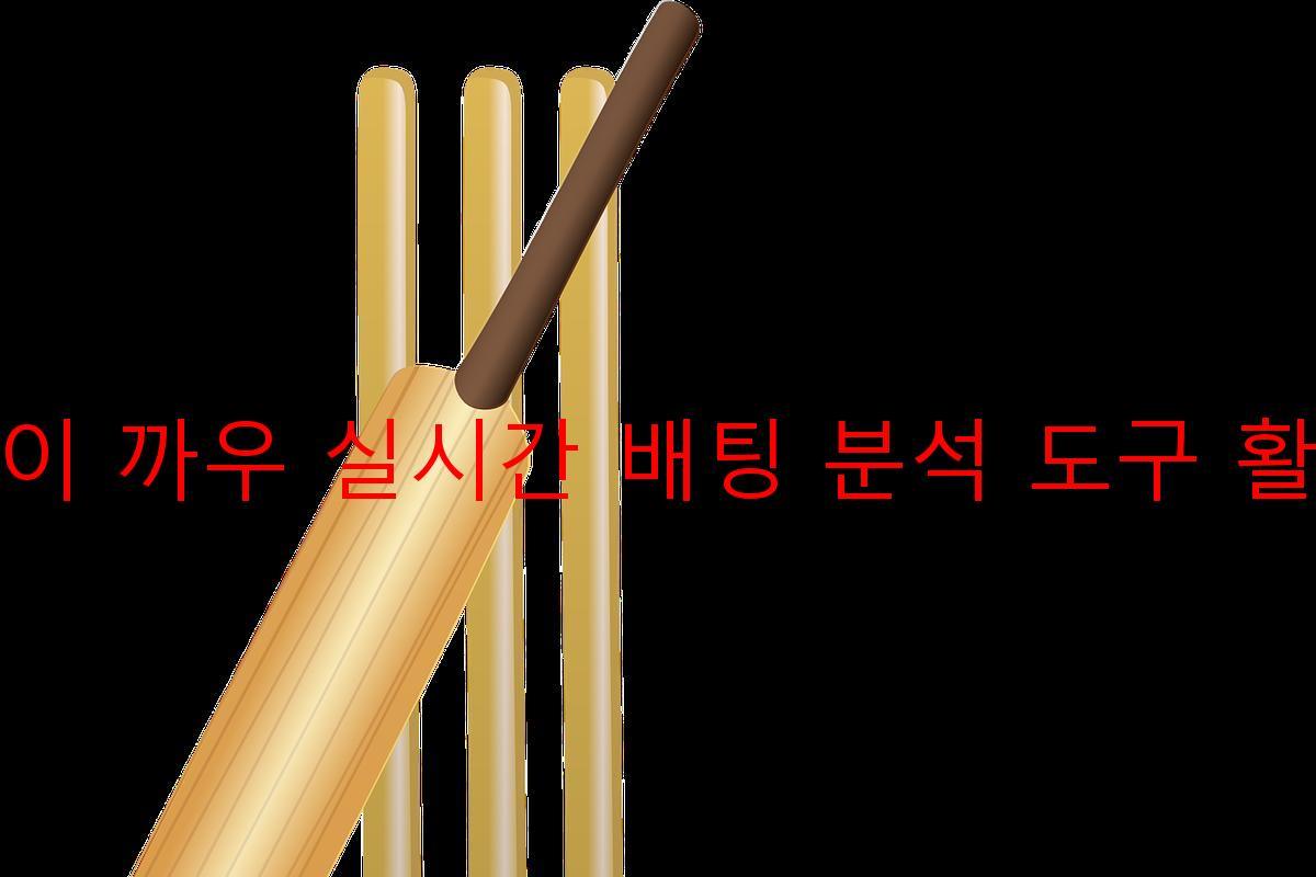 빠이 까우 실시간 배팅 분석 도구 활용