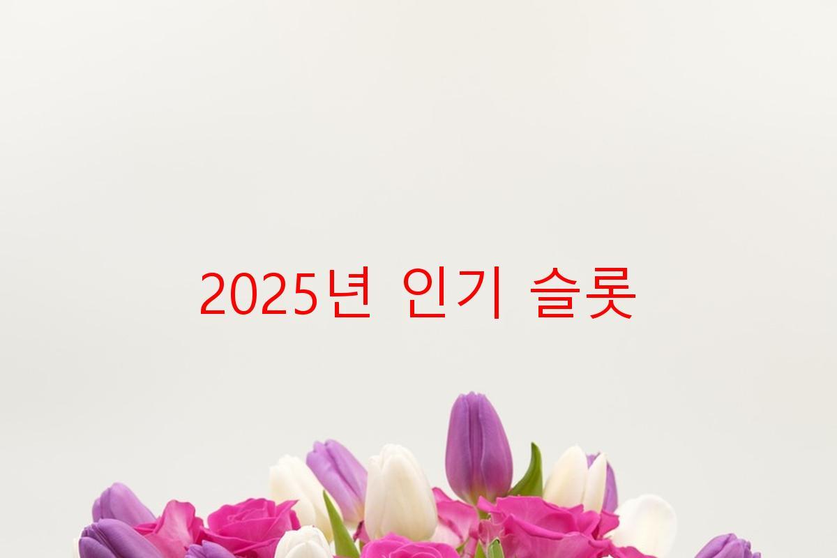 2025년 인기 슬롯