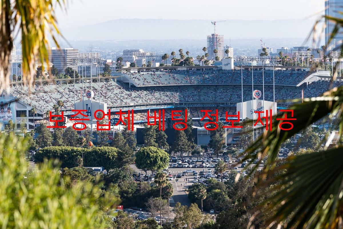 보증업체 베팅 정보 제공