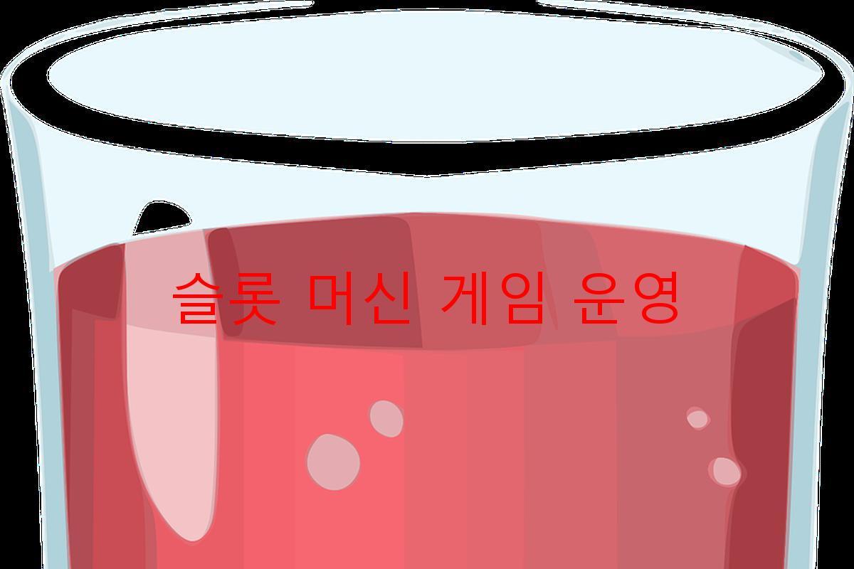 슬롯 머신 게임 운영