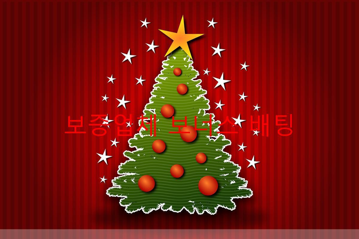 보증업체 보너스 배팅