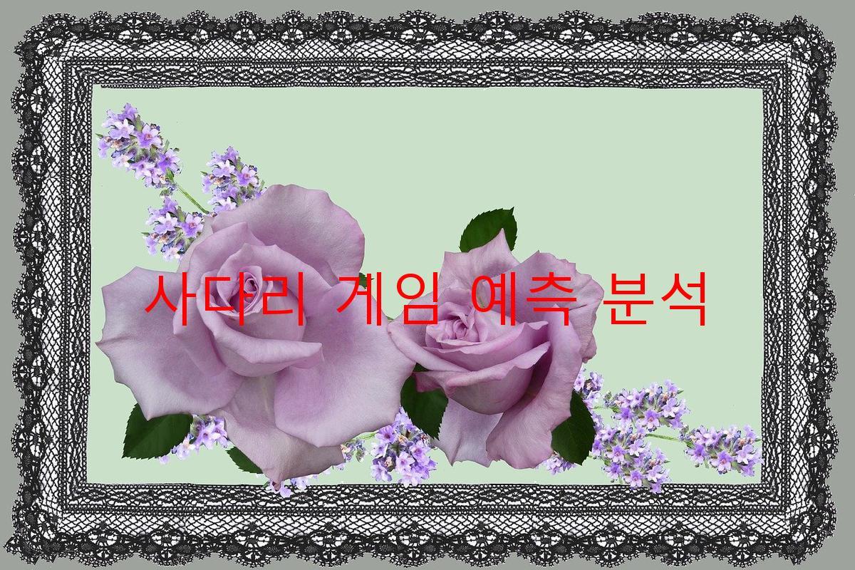 사다리 게임 예측 분석