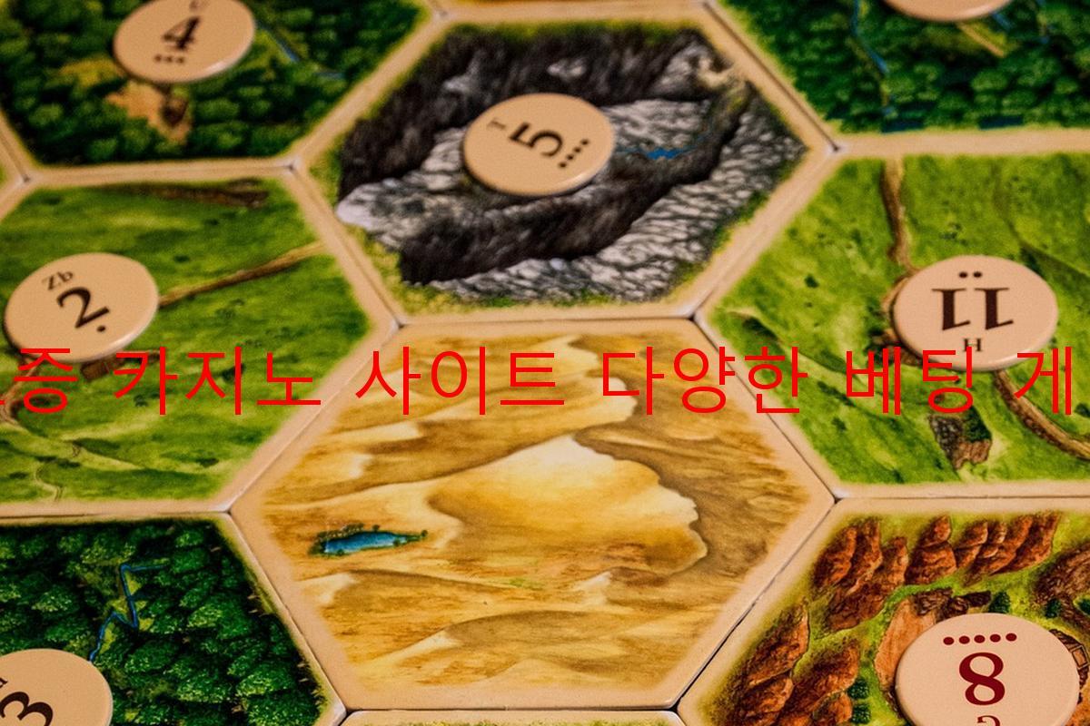 보증 카지노 사이트 다양한 베팅 게임