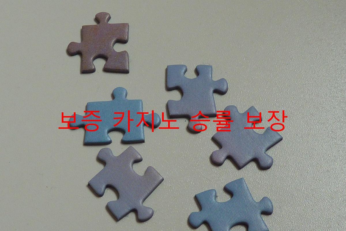 보증 카지노 승률 보장