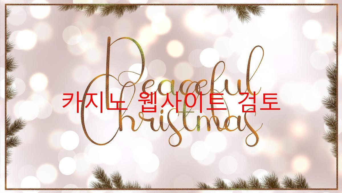 카지노 웹사이트 검토